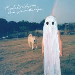 Scott Street - Phoebe Bridgers Türkçe çeviri albüm kapağı